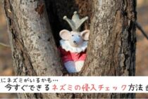 ネズミがいるか確かめる方法！疑いが確信に変わるラットサインの見つけ方