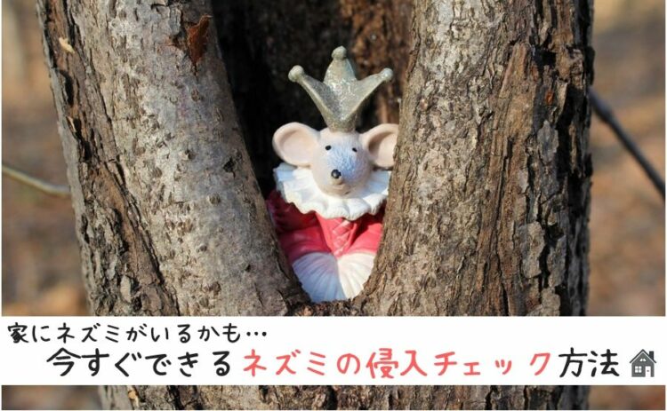 家にネズミがいるかも…今すぐできるネズミの侵入チェック方法を紹介