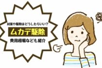 ムカデ対策や駆除はどうしたらいい？ムカデ駆除の費用相場なども紹介