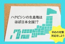 ハクビシンの生息地はほぼ日本全国！？早めの対策、対応をしよう