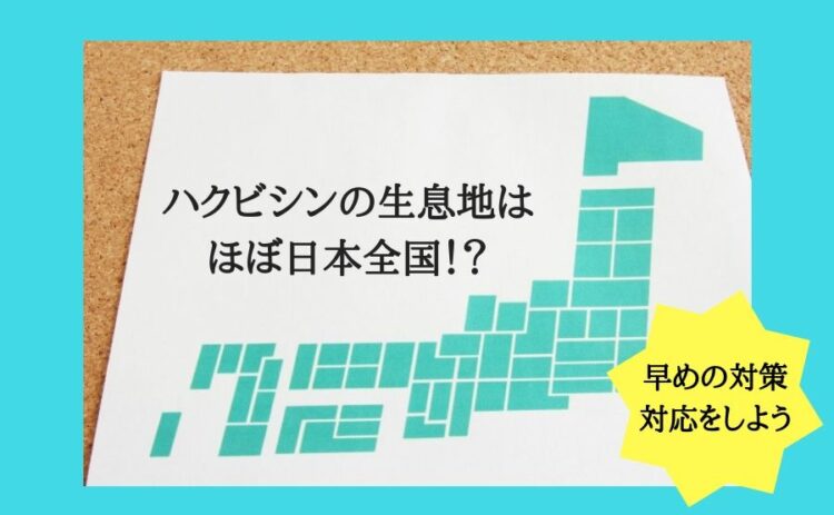 ハクビシンの生息地はほぼ日本全国！？早めの対策、対応をしよう