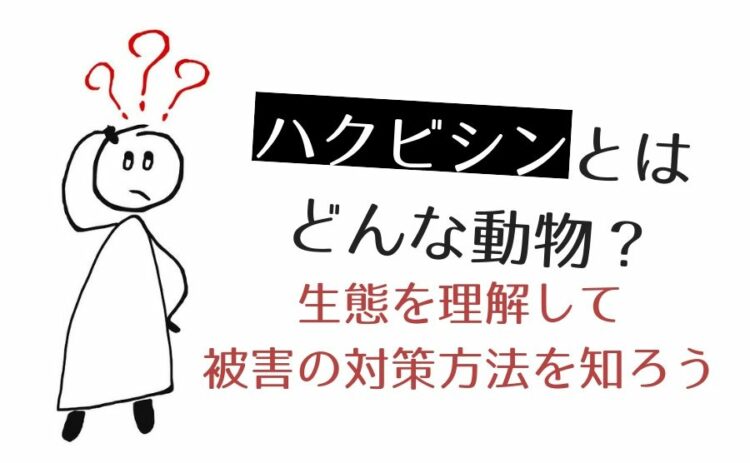 ハクビシンとはどんな動物？生態を理解して被害の対策方法を知ろう