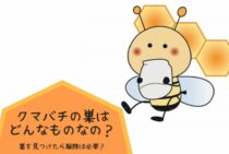 クマバチの巣はどんなものなの？巣を見つけたら駆除は必要？