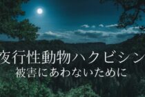 ハクビシンは夜行性動物。被害にあわないようにするためには