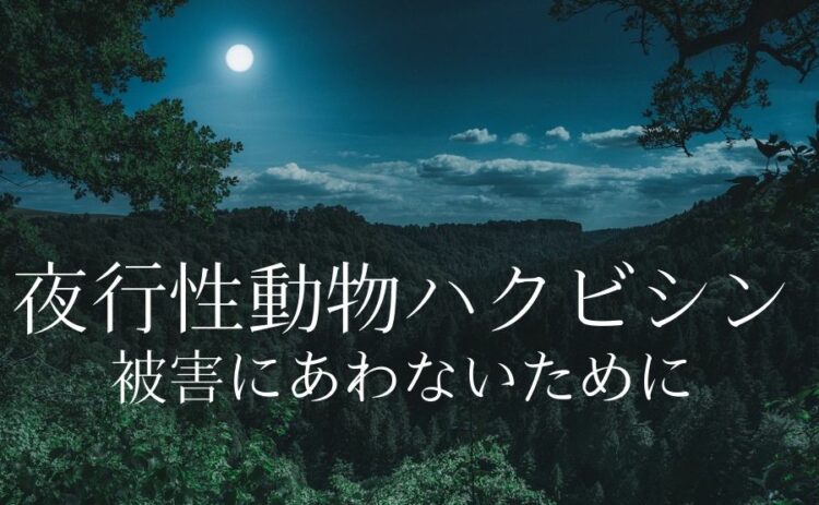 ハクビシンは夜行性動物。被害に合わないようにするためには