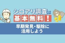 シロアリ調査の方法をご紹介！費用無料でできるプロの調査の内容と流れ