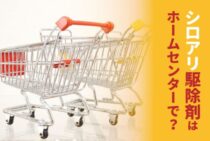 ホームセンターで購入できるシロアリ駆除剤の種類は？安全性と効果も解説