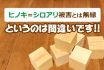 ヒノキ＝シロアリ被害とは無縁というのは間違い！しっかり予防を