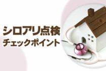 シロアリ点検のやり方と見るべき6つの場所｜チェック方法を徹底解説！