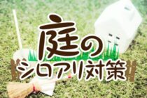 シロアリを庭で発見したときの対処法まとめ！庭のシロアリ対策も