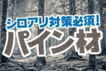 パイン材はシロアリ対策が必須です！予防や駆除についてご紹介！