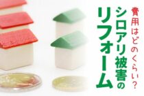 シロアリでリフォームを考えたときに知りたい費用と建て替えるべきかの判断基準