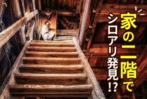 家の二階でシロアリ発見！どうして？その理由と対処方法とは