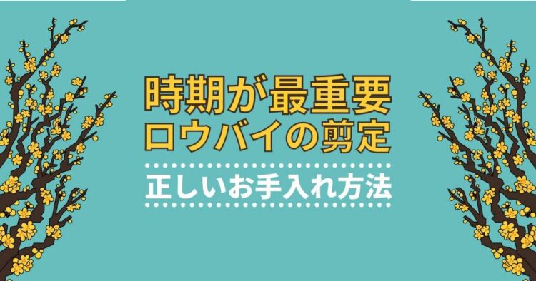 ロウバイの剪定で重要なのは時期！栽培に欠かせない正しい手入れ方法