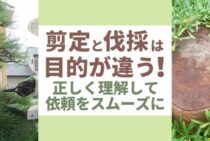 剪定と伐採の違いを解説！庭木のお手入れや処分にかかる費用とは