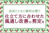 ジューンベリーの剪定方法は2つ！庭木の剪定は適した時期と方法で
