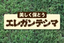 エレガンテシマの剪定のコツを知って美しく保とう！変色のおそれとは