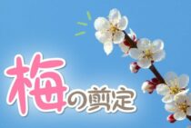 春の訪れを感じさせる梅の剪定を正しくおこなおう！その方法と費用