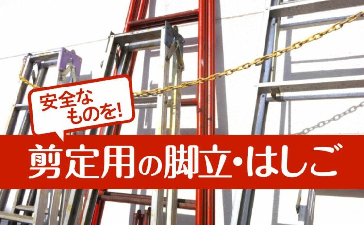 剪定のはしごや脚立は何でもよいわけではない！安全なものを選ぼう