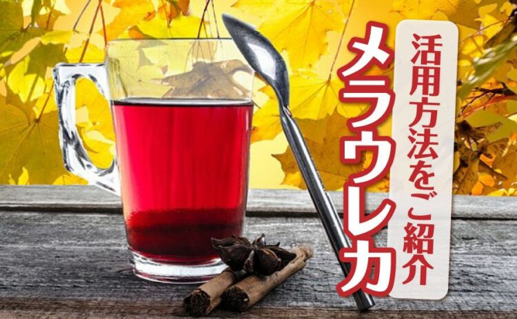 香りの樹メラウレカ。見るだけじゃもったいない活用方法をご紹介！