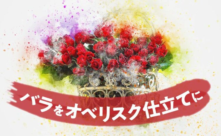 バラをオベリスク仕立てにして、省スペースでも華やかに楽しもう！