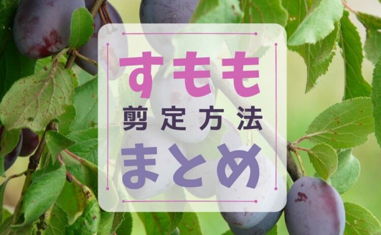すももの剪定方法まとめ。元気に育てるためのポイントをチェック！