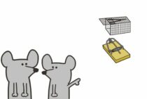 ネズミ捕りの仕組みはグッズによって異なる！特徴を知ってから選ぼう