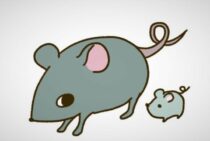 ネズミが1匹いたらすぐに対策しよう！放置の危険性と駆除方法を解説