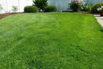 人工芝の施工ってどんな流れ？自力でやる方法を探している人は注目！