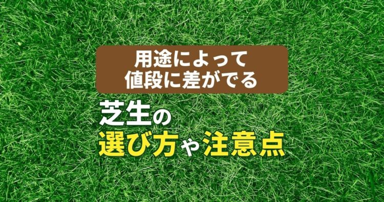 人工芝の施工費用とは｜ロールの相場やDIYでの準備・手順もご紹介