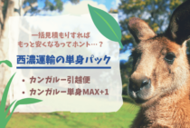単身パックは西濃運輸で使おう！プランの特徴や評判・口コミまとめ