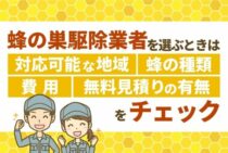 【蜂の巣・スズメバチ駆除】和歌山の業者比較｜おすすめ業者５選