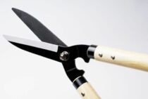 剪定の作業には何があるか紹介！育ちすぎた木をキレイに整えよう