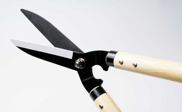 剪定の作業には何があるか紹介！育ちすぎた木をキレイに整えよう