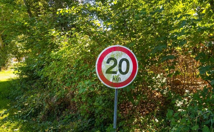 道路の支障木は伐採・剪定を請求しよう！見つけたときの対処法を解説