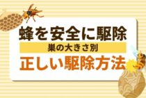 蜂の巣は作り始めに駆除するのがベスト！種類ごとの特徴と退治法