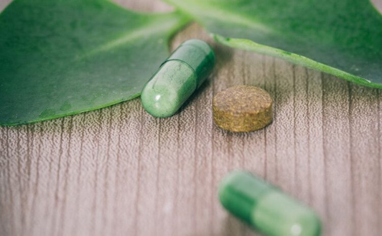 すす病の対策法まとめ。原因はあの病害虫だった！？予防法も教えます