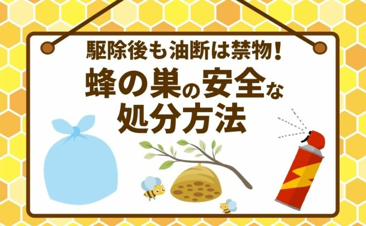 駆除後も油断は禁物！ 蜂の巣の安全な処分方法