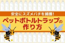 【蜂の駆除】ペットボトルトラップでスズメバチ・アシナガバチを安全に退治する方法