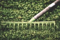 レーキの使い方を知ってサッチングをしよう！選ぶポイントも紹介！