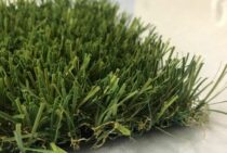 人工芝のデメリット「虫」の発生は水はけと雑草対策で予防可能！