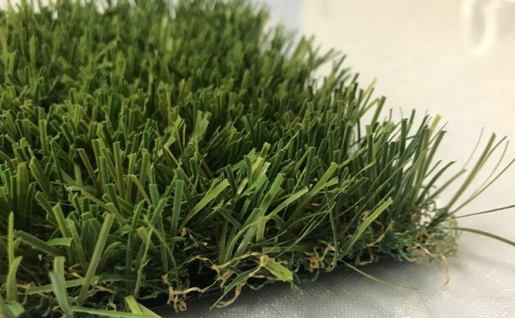 人工芝のデメリットが虫って本当？虫がわきにくい環境にするポイント