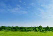 芝生のおすすめを地域ごとに紹介！芝生によって得意な気候はちがう？