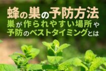 蜂が嫌いな匂いを放つ【木酢液とハッカ油】が効果的！安全に蜂の巣を防ぐ方法