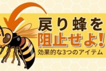 蜂の巣の駆除後は「戻り蜂」に注意！帰巣本能への対策で再発を防止