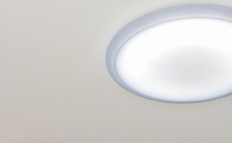 天井や壁にひび割れができたときの対処！危険度の高い症状の見分け方