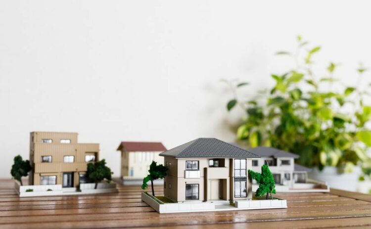 ムネアカオオアリの害は人より家にでやすい。被害と駆除方法について