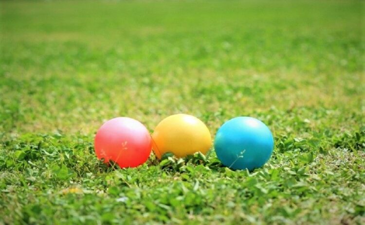 芝生の張替え費用を安く抑えるためのポイントを詳しく紹介します！