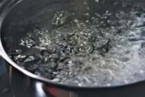 ダニは熱湯で手軽に消毒！逆効果にならないために知っておきたいポイント