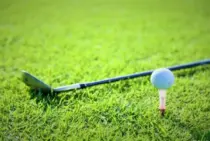 野芝の手入れや管理は高麗芝よりも楽？ゴルフ場でも使われる芝の特徴